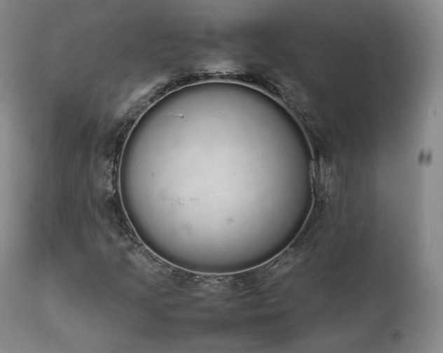 X0000111451205200907131321