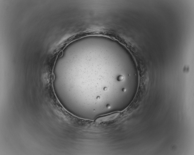 X0000111451206200907131321