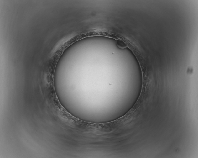 X0000111451207200907131321