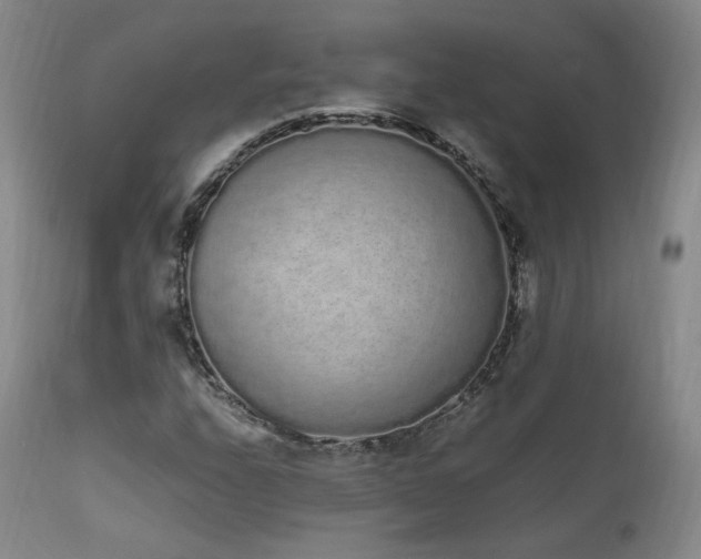 X0000111451208200907131321