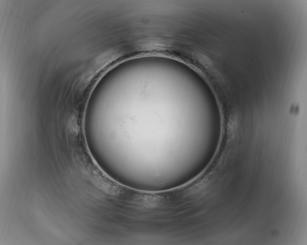 X0000111451209200907131321