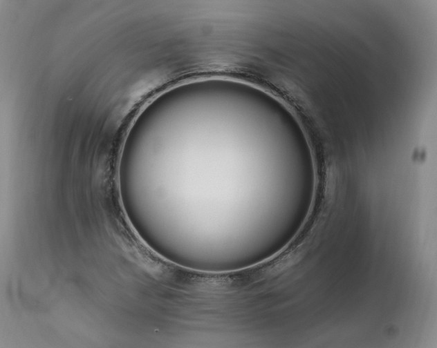 X0000111451210200907131321