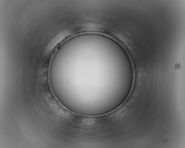 X0000111451211200907131321