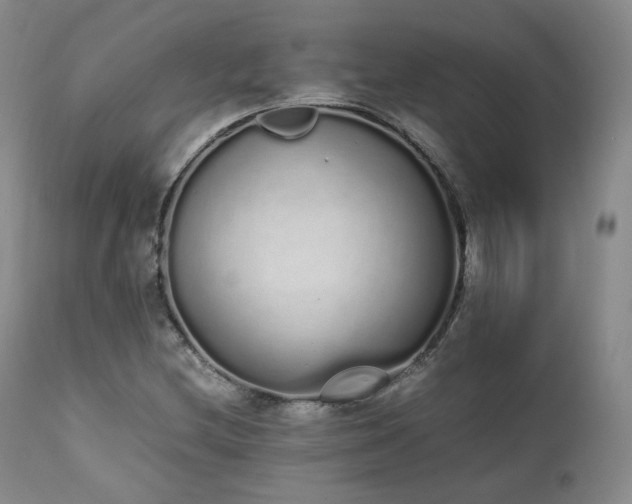 X0000111451212200907131321