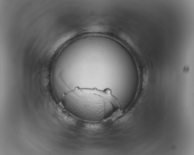 X0000111451213200907131321