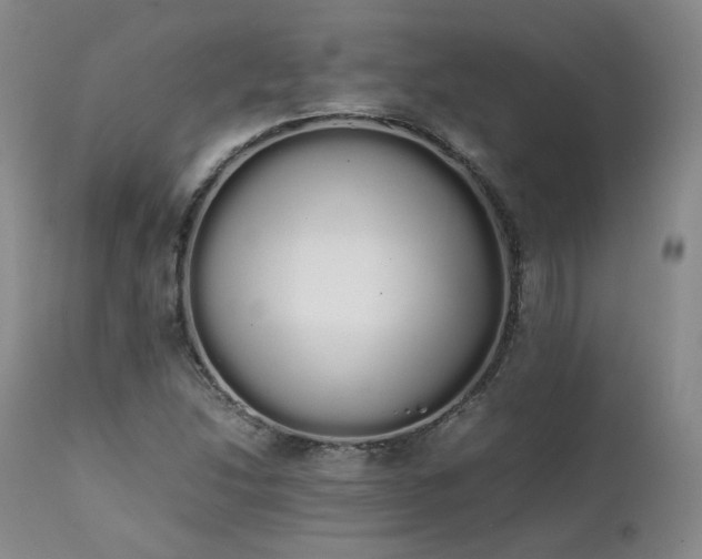 X0000111451214200907131321