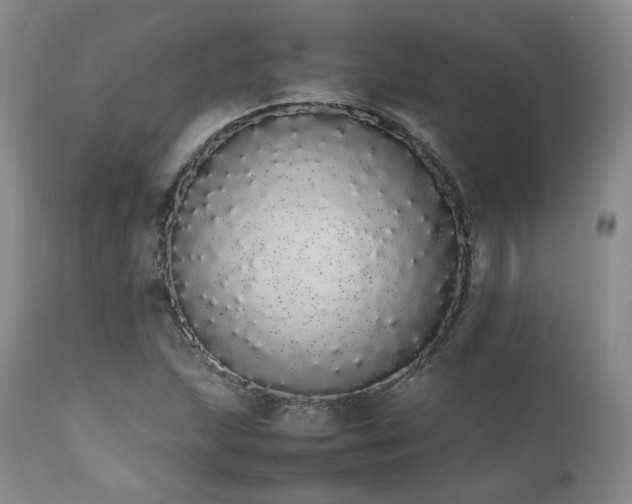 X0000111451215200907131321