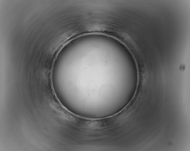 X0000111451217200907131321