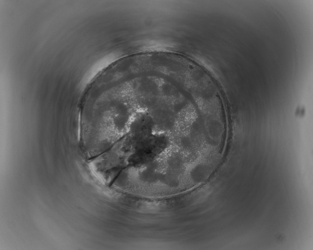 X0000111451219200907131321