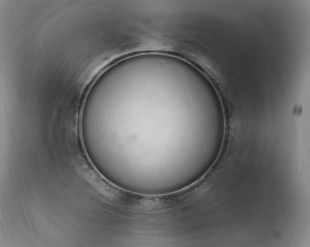 X0000111451220200907131321
