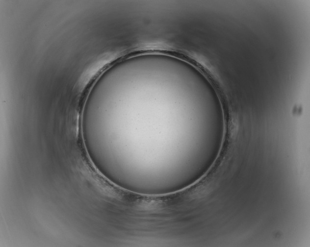 X0000111451221200907131321