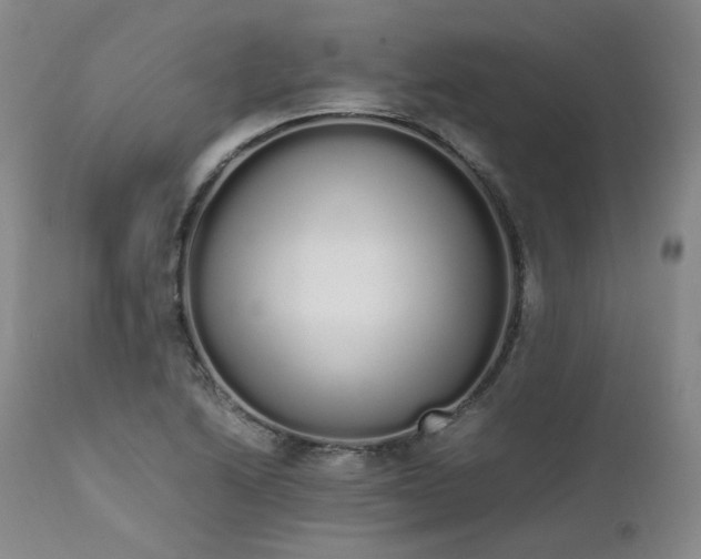 X0000111451222200907131321