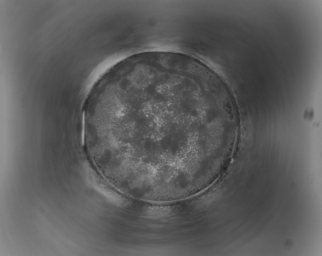 X0000111451223200907131322