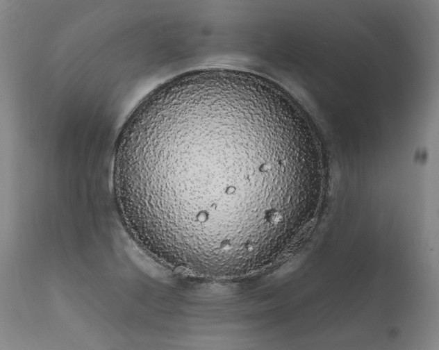 X0000111451224200907131322