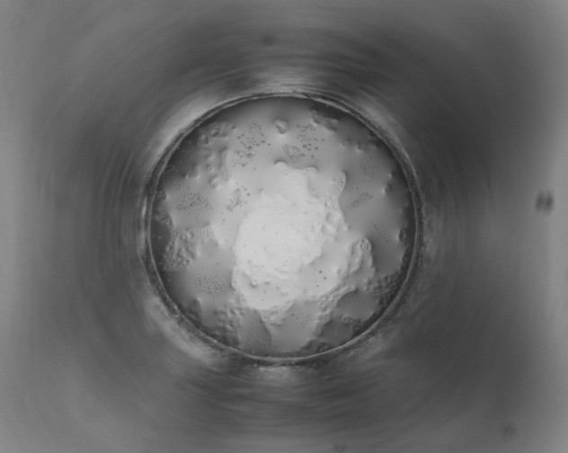 X0000111451227200907131322