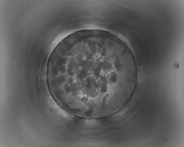 X0000111451231200907131322