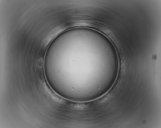 X0000111451233200907131322