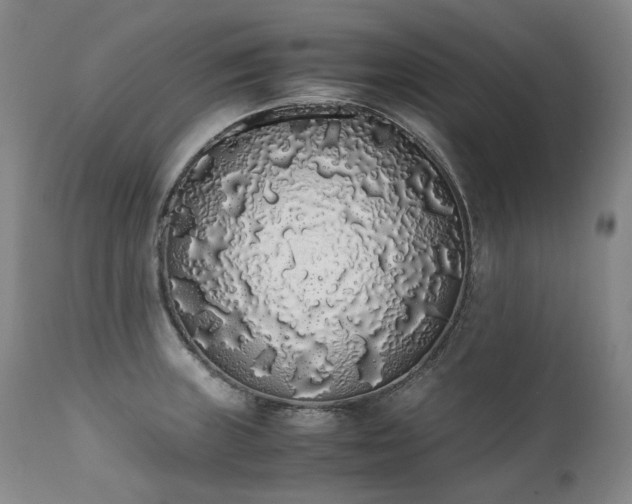 X0000111451235200907131322