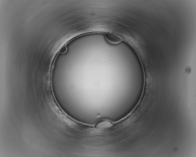 X0000111451236200907131322