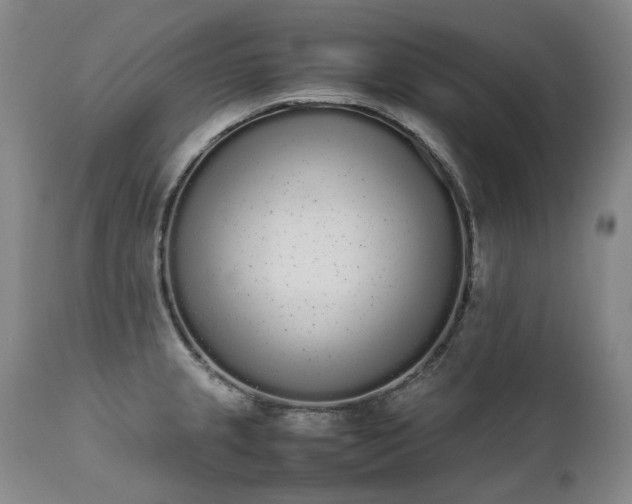 X0000111451237200907131322