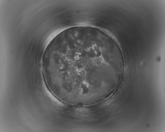X0000111451239200907131322