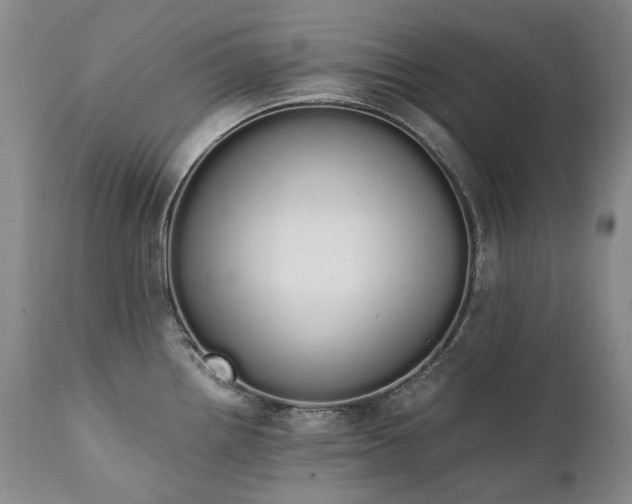 X0000111451242200907131322