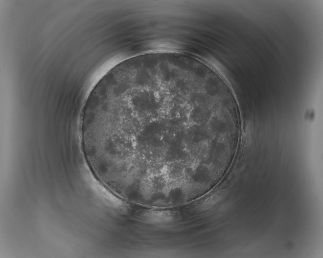 X0000111451243200907131322