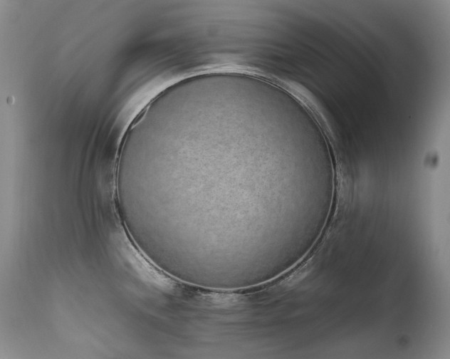 X0000111451244200907131322