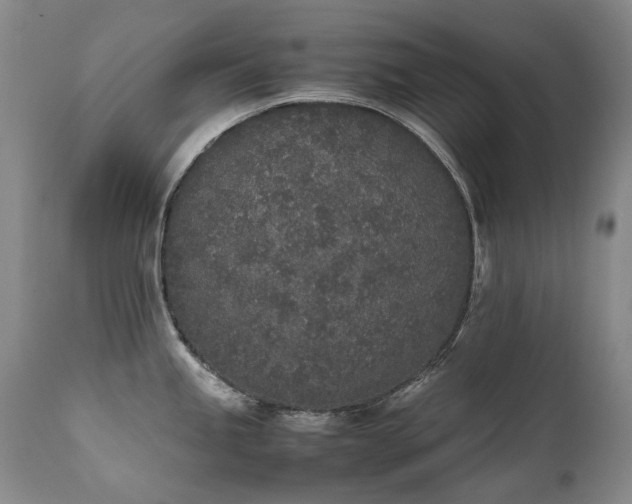 X0000111451245200907131322