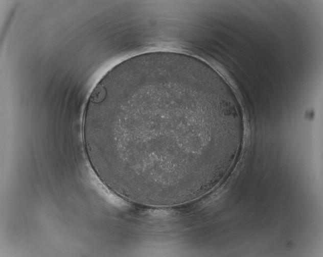 X0000111451246200907131322