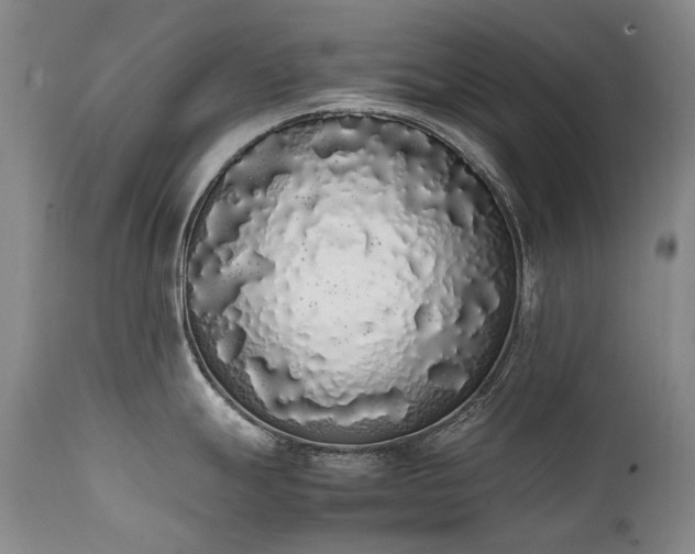 X0000111451247200907131322