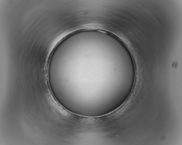 X0000111451248200907131322
