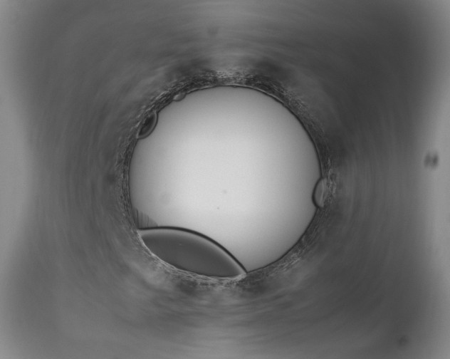 X0000111451249200907131321