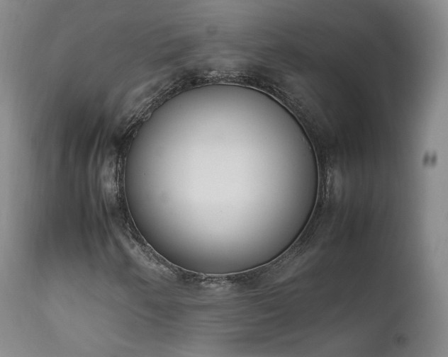 X0000111451250200907131321