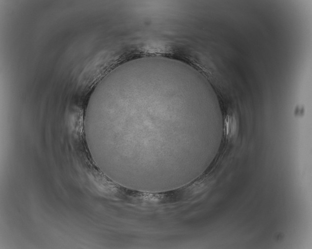 X0000111451251200907131321