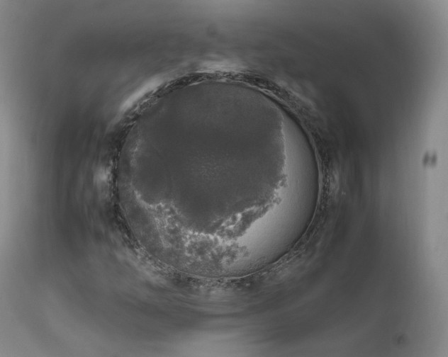 X0000111451254200907131321