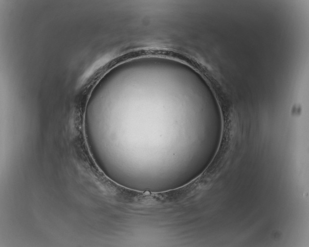 X0000111451255200907131321