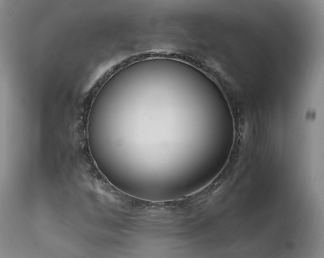 X0000111451256200907131321