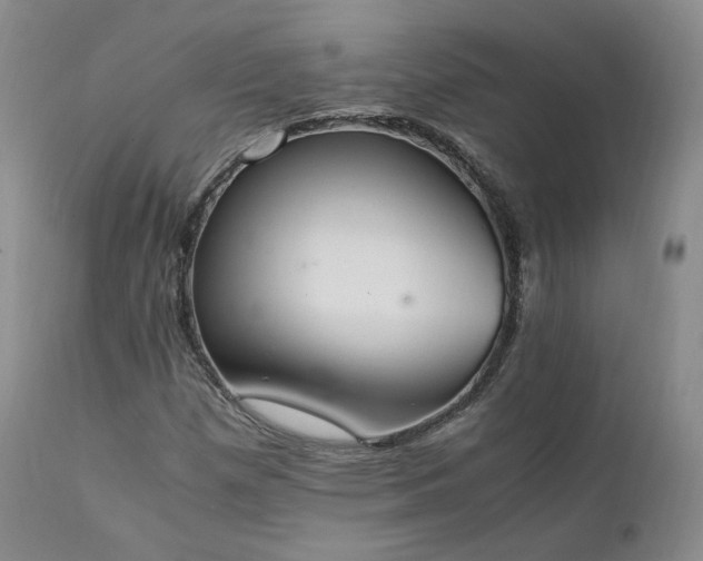 X0000111451257200907131321