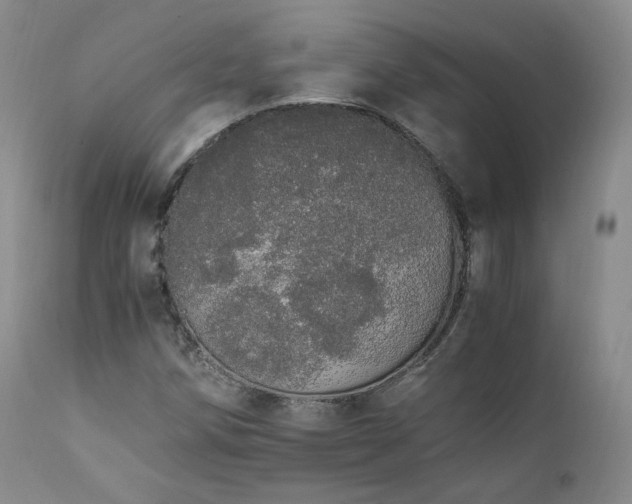 X0000111451258200907131321
