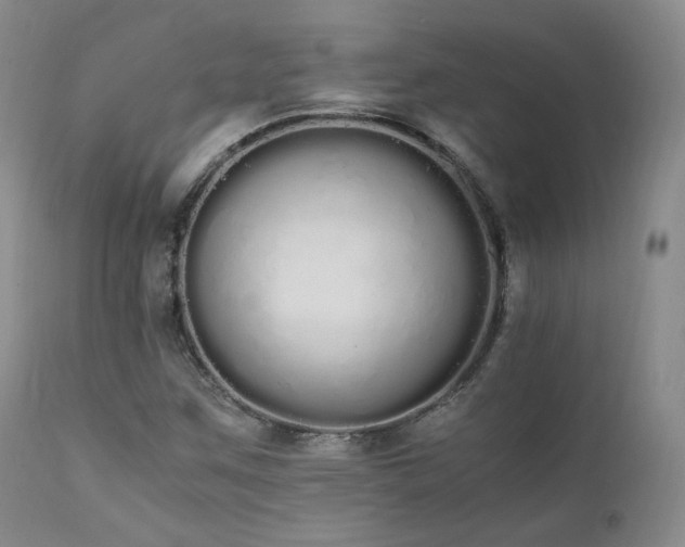 X0000111451259200907131321