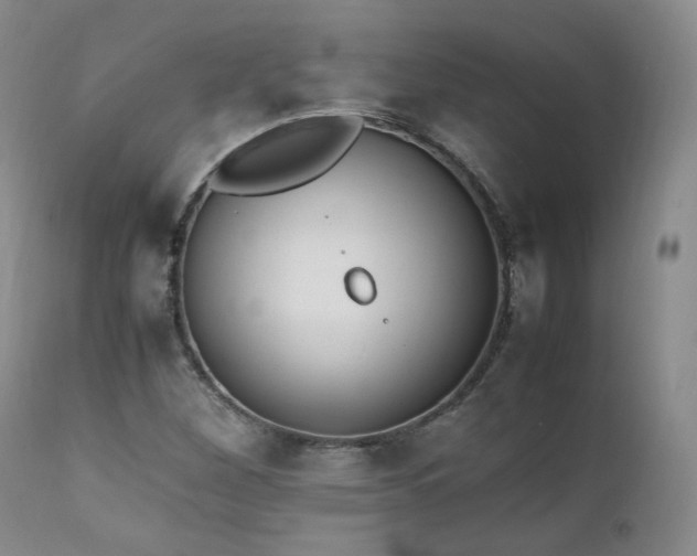 X0000111451260200907131321