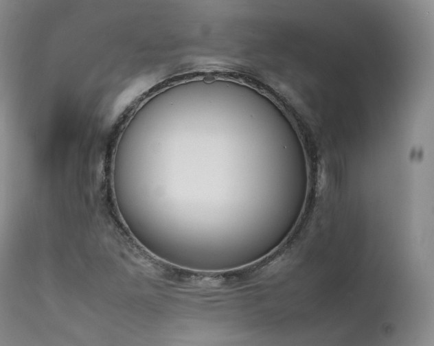 X0000111451261200907131321