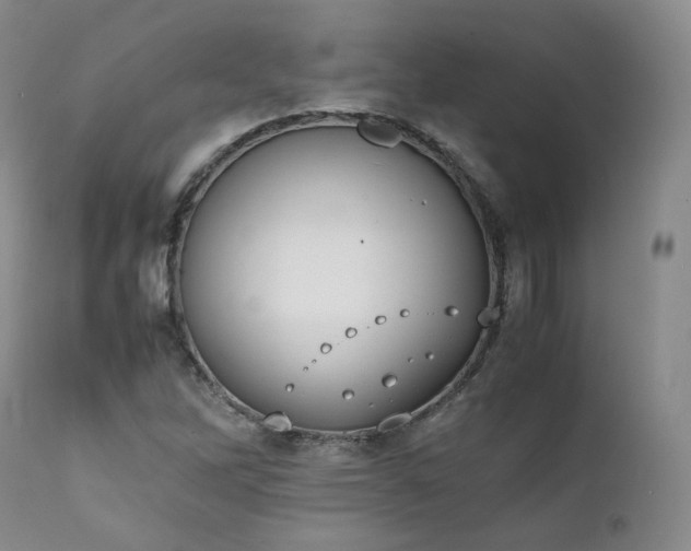 X0000111451262200907131321