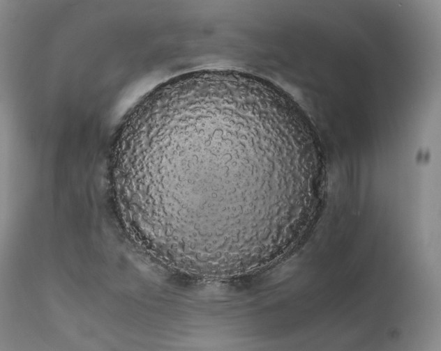 X0000111451263200907131321