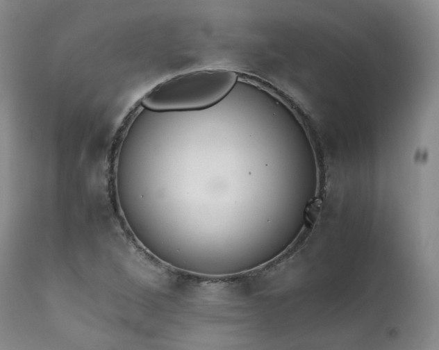X0000111451264200907131321