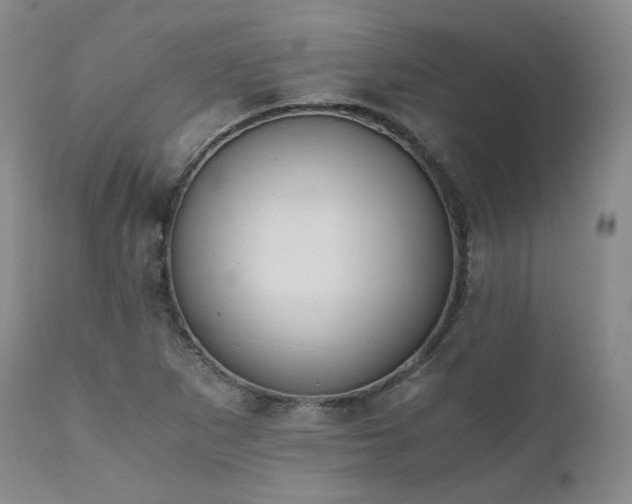 X0000111451265200907131321