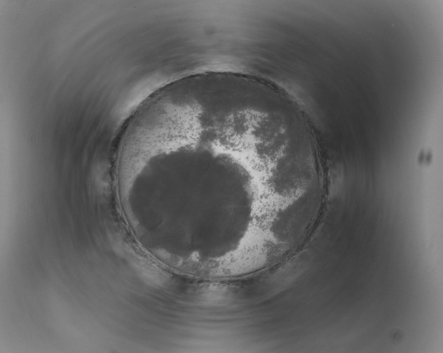 X0000111451266200907131321