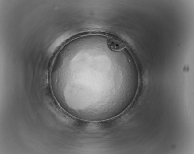 X0000111451267200907131321