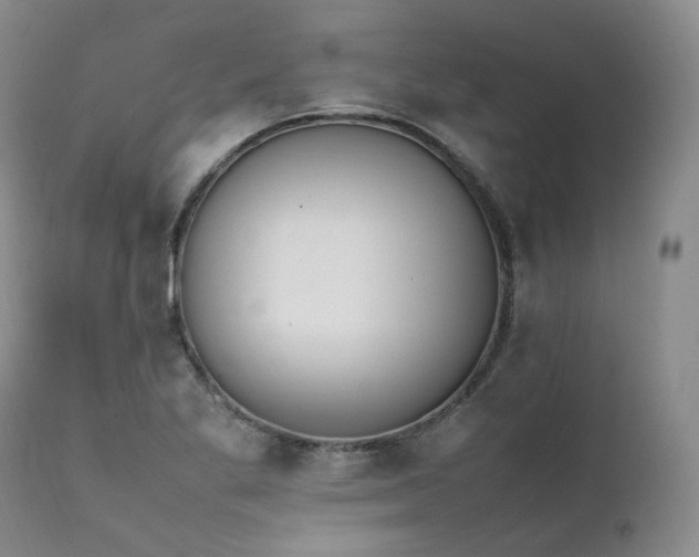 X0000111451269200907131321